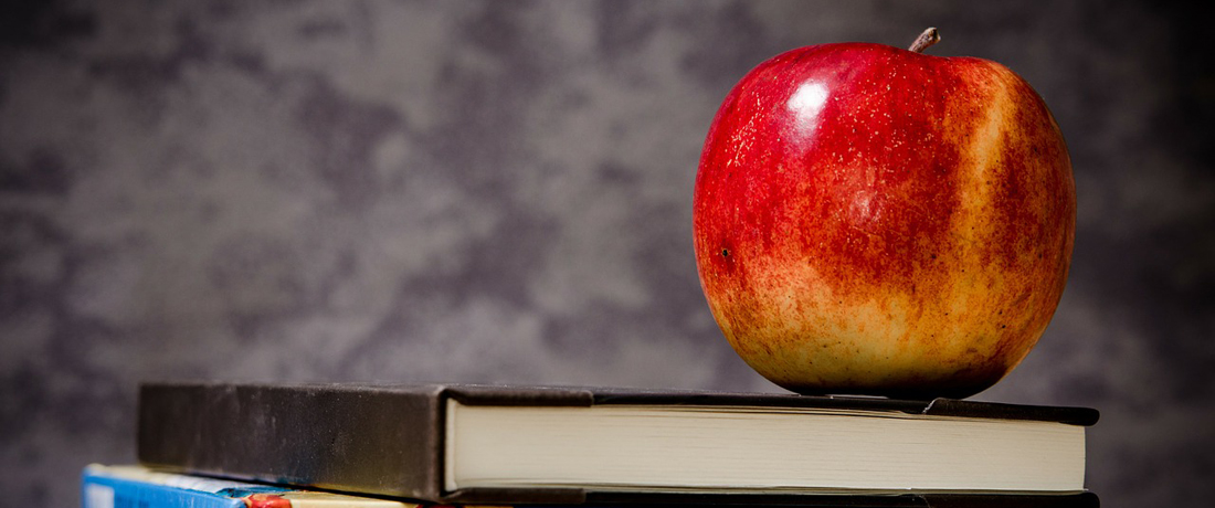 Apple above the Book